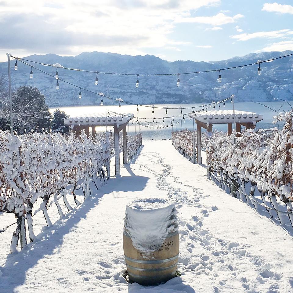 Quails' Gate Vineyard Estate Winery - West Kelown, BC 